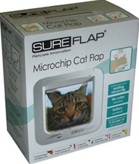 rfid chips in cats|microchips for cats.